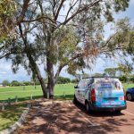 carpet cleaning Mindarie, professional carpet cleaners Mindarie, steam carpet cleaning Mindarie WA, same day carpet cleaning Mindarie, Clean Fantastic Mindarie, eco carpet cleaning Mindarie, truck mount carpet cleaning Mindarie; 