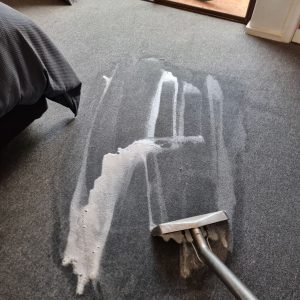 Professional pet urine carpet cleaning Perth for stain and odor removal.