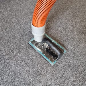 Pet urine carpet cleaner Perth for effective stain and odor removal.