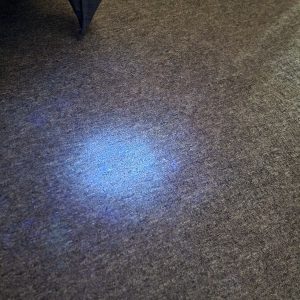 Pet urine odour and stain removal Perth for fresh, clean, and hygienic carpets.